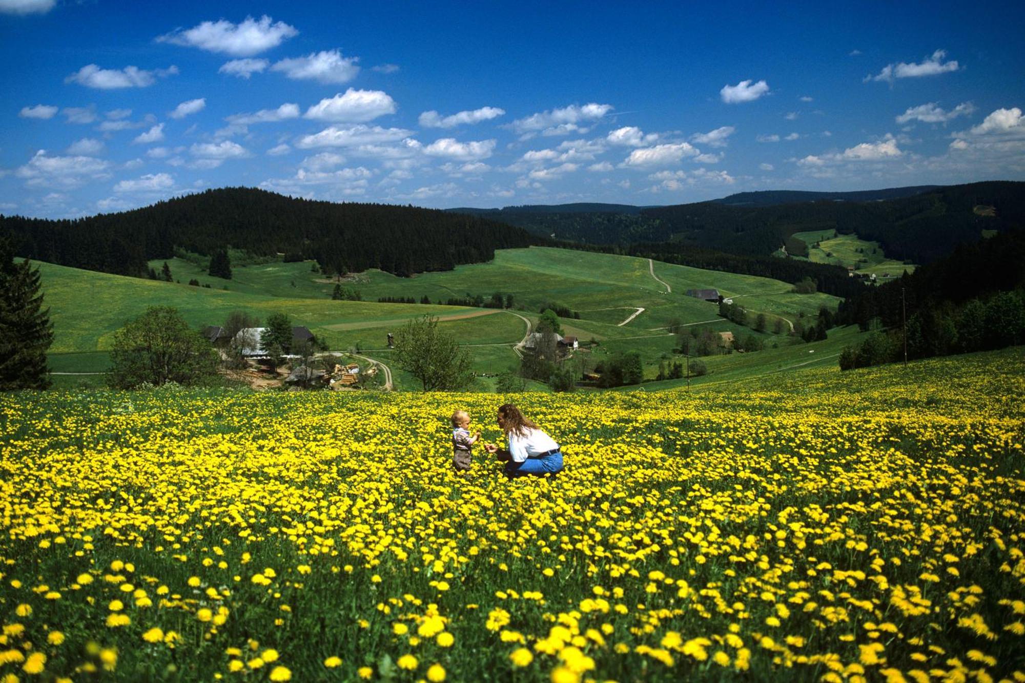 Hotel Waldeck Mit Restaurant "Florian'S" Feldberg (Baden-Wurttemberg) Exterior foto